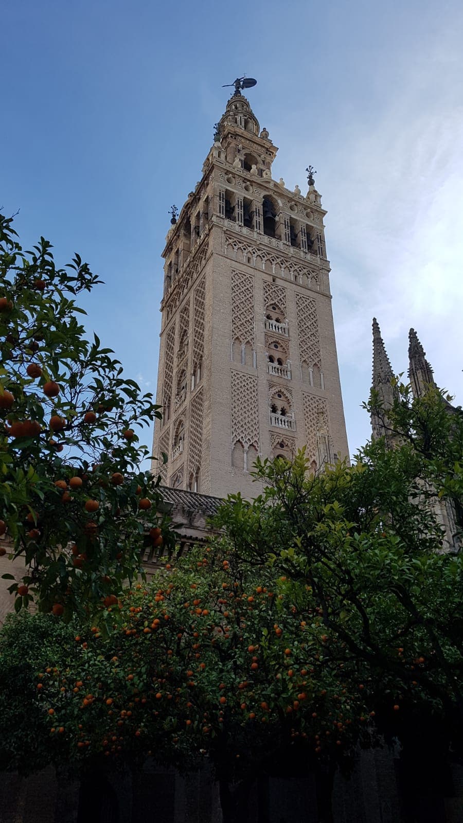 Tour por Sevilla al completo: Real Alcázar y Catedral